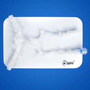 Posterior Cerebral Circulation Vessel Model