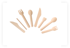 BAGASSE CUTLERY