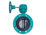 30 Inch Valve