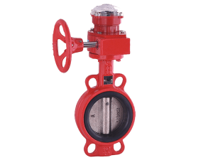 Concentric Butterfly Valve
