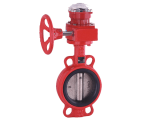 Concentric Butterfly Valve