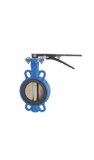 Butterfly Valve