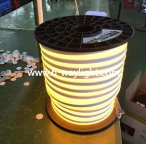 LED Neon Tube Light
