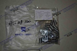 XCMG ZL60G- 4644 152- Roller group-134-0750 119 100