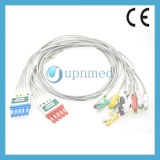 M1602A and M1976A Philips 10 lead wires, connect with M1949A ECG trunk cable