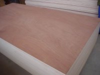 Furniture plywood lamined with Bintango or sapelle veneer