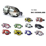 Ski Goggles