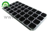 Seed Tray