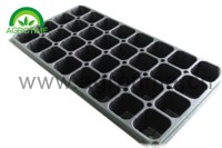 Seed Tray
