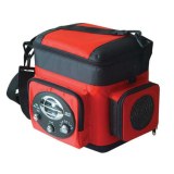 Car Cooler & Warmer 6L with Radio for Sale from China