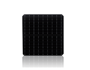 M6 Solar Cell