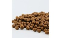 EXTRUDED FISH FEED