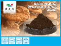 NATURAL HERBAL EXTRACT WHOLESALE POWDER