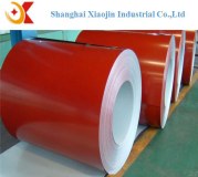 Color prepainted galvanized steel coil and sheet/PPGI and PPGL