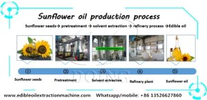 Complete set sunflower oil making machine, sunflower oil processing machine for sale