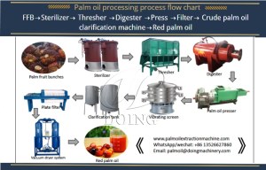 1-5t/H Small Scale Africa Palm Oil Press Milling Extraction Processing Machine