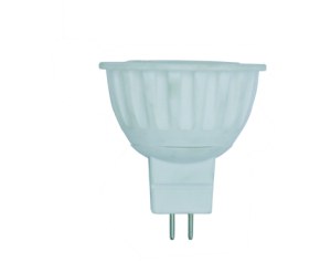 LED Light Bulbs for Outdoor Fixtures