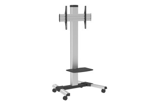 T015 Mobile TV Stand