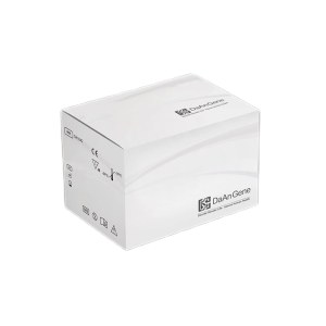 Mycobacterium Tuberculosis Fluorescent Polymerase Chain Reaction Diagnostic Kit