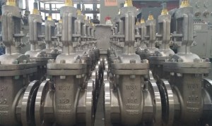 Monel Gate Valves