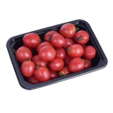 Disposable Food Tray