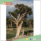 Wholesale beautiful new green ficberglass outdoor decoration artificial pine tree logs