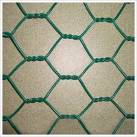 Hexagonal Wire Mesh/Netting