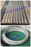 Grade 1, 2, 5, 6, 7, 9, 12, 23 Coiled titanium and titanium alloy wires