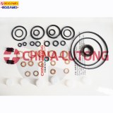 Pump Repair kits Gasket kit And Rebuild Kit 800647 Overhaul Kit