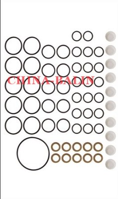 Pump repair kit 800888