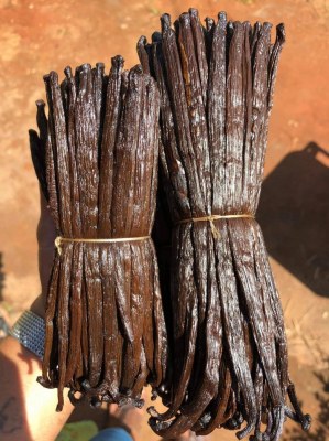 VANILLEde MADAGASCAR