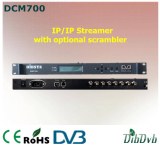 IP/IP Multiplexer And Scrambler