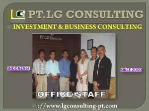 Indonesia market , Indonesia business opportunities