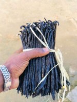 Recherche acheteurs, importateurs,