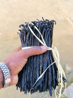 Recherche acheteurs, importateurs,