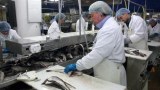 Cherche un partenaire sérieux pour la création d'une unité industrielle pour le poisson