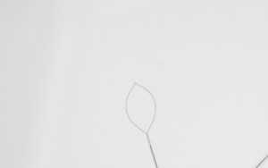 Polypectomy Snares (Hot & Cold)