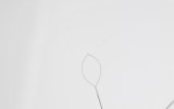 Polypectomy Snares (Hot & Cold)