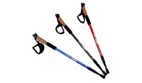 3 Sections Walking Poles