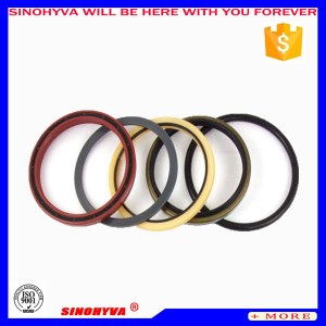 O Ring Dust Seals Kit Hyva