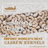 Raw cashew nut importers in lndia