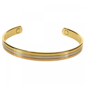 Wellys GD-027510: Bracelet magnétique tricolore - Classique