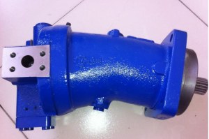 Hydraulic Pump A6V107 on XCMG Cranes