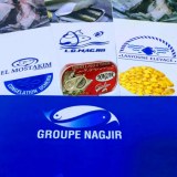 Export conserve de sardine et sardine congelé