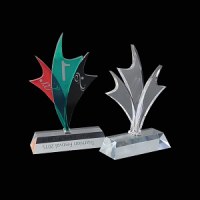Acrylic wards trophy
