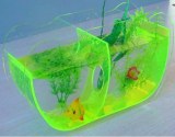 Acrylic Fishbowl & Fish tank