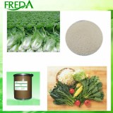 Polyglutamic acid (Agricultural grade)