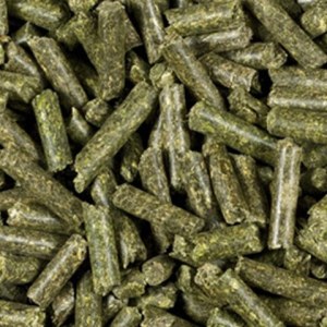 Alfalfa Pellet
