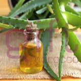 Huile d'aloe vera en gros