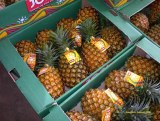 NOUS VOUS VENDONS L'ANANAS PAIN DE SUCRE PARTOUT DANS LE MONDE